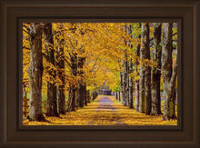 Load image into Gallery viewer, Plate 1 - Dairy Hill Horizontal
