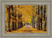 Load image into Gallery viewer, Plate 1 - Dairy Hill Horizontal
