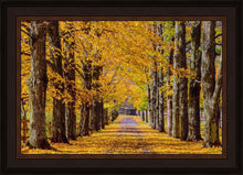 Load image into Gallery viewer, Plate 1 - Dairy Hill Horizontal
