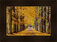 Load image into Gallery viewer, Plate 1 - Dairy Hill Horizontal
