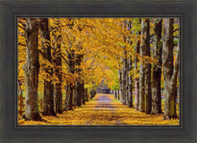 Load image into Gallery viewer, Plate 1 - Dairy Hill Horizontal
