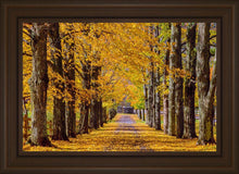 Load image into Gallery viewer, Plate 1 - Dairy Hill Horizontal
