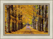 Load image into Gallery viewer, Plate 1 - Dairy Hill Horizontal
