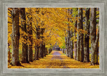 Load image into Gallery viewer, Plate 1 - Dairy Hill Horizontal

