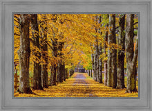 Load image into Gallery viewer, Plate 1 - Dairy Hill Horizontal
