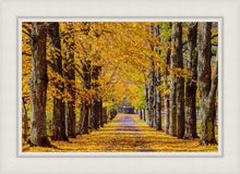Load image into Gallery viewer, Plate 1 - Dairy Hill Horizontal
