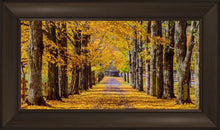 Load image into Gallery viewer, Plate 1 - Dairy Hill Horizontal
