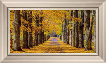 Load image into Gallery viewer, Plate 1 - Dairy Hill Horizontal
