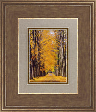 Load image into Gallery viewer, Plate 2 - Dairy Hill Vertical
