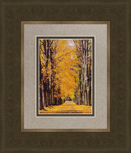 Load image into Gallery viewer, Plate 2 - Dairy Hill Vertical
