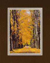 Load image into Gallery viewer, Plate 2 - Dairy Hill Vertical
