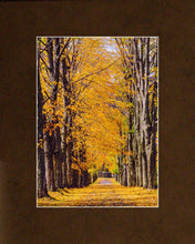 Load image into Gallery viewer, Plate 2 - Dairy Hill Vertical
