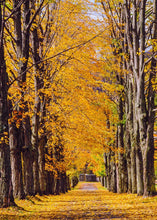 Load image into Gallery viewer, Plate 2 - Dairy Hill Vertical
