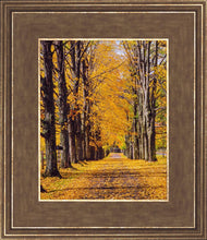 Load image into Gallery viewer, Plate 2 - Dairy Hill Vertical
