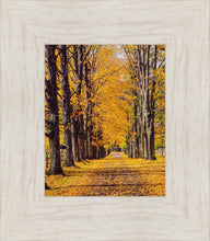 Load image into Gallery viewer, Plate 2 - Dairy Hill Vertical
