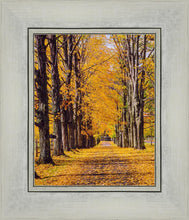 Load image into Gallery viewer, Plate 2 - Dairy Hill Vertical
