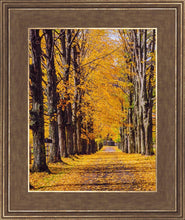 Load image into Gallery viewer, Plate 2 - Dairy Hill Vertical
