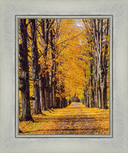 Load image into Gallery viewer, Plate 2 - Dairy Hill Vertical
