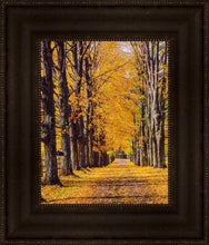 Load image into Gallery viewer, Plate 2 - Dairy Hill Vertical

