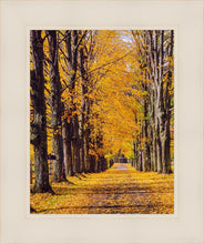 Load image into Gallery viewer, Plate 2 - Dairy Hill Vertical
