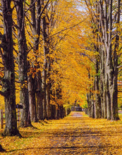 Load image into Gallery viewer, Plate 2 - Dairy Hill Vertical

