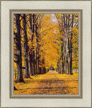 Load image into Gallery viewer, Plate 2 - Dairy Hill Vertical
