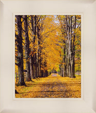 Load image into Gallery viewer, Plate 2 - Dairy Hill Vertical
