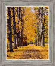 Load image into Gallery viewer, Plate 2 - Dairy Hill Vertical
