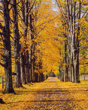Load image into Gallery viewer, Plate 2 - Dairy Hill Vertical
