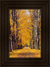 Load image into Gallery viewer, Plate 2 - Dairy Hill Vertical
