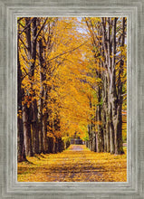 Load image into Gallery viewer, Plate 2 - Dairy Hill Vertical
