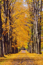Load image into Gallery viewer, Plate 2 - Dairy Hill Vertical
