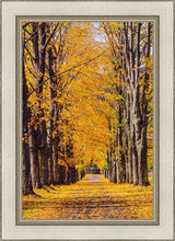 Load image into Gallery viewer, Plate 2 - Dairy Hill Vertical
