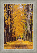 Load image into Gallery viewer, Plate 2 - Dairy Hill Vertical
