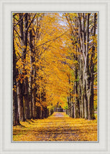 Load image into Gallery viewer, Plate 2 - Dairy Hill Vertical
