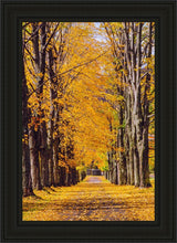 Load image into Gallery viewer, Plate 2 - Dairy Hill Vertical
