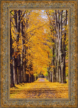 Load image into Gallery viewer, Plate 2 - Dairy Hill Vertical
