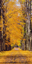 Load image into Gallery viewer, Plate 2 - Dairy Hill Vertical
