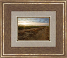 Load image into Gallery viewer, Plate 7 - Calm Before the Storm
