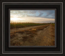 Load image into Gallery viewer, Plate 7 - Calm Before the Storm
