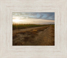 Load image into Gallery viewer, Plate 7 - Calm Before the Storm
