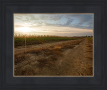 Load image into Gallery viewer, Plate 7 - Calm Before the Storm
