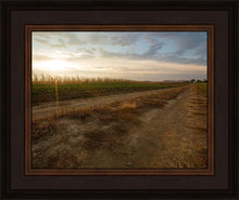 Load image into Gallery viewer, Plate 7 - Calm Before the Storm
