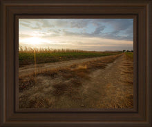 Load image into Gallery viewer, Plate 7 - Calm Before the Storm
