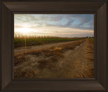 Load image into Gallery viewer, Plate 7 - Calm Before the Storm
