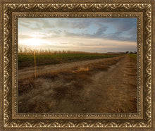 Load image into Gallery viewer, Plate 7 - Calm Before the Storm
