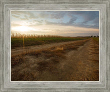 Load image into Gallery viewer, Plate 7 - Calm Before the Storm

