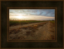 Load image into Gallery viewer, Plate 7 - Calm Before the Storm
