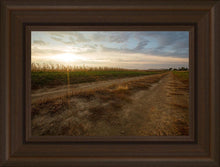 Load image into Gallery viewer, Plate 7 - Calm Before the Storm
