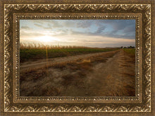Load image into Gallery viewer, Plate 7 - Calm Before the Storm

